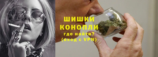 ECSTASY Белокуриха