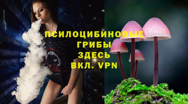 ECSTASY Белокуриха