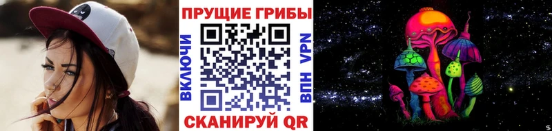 Псилоцибиновые грибы мухоморы  купить наркоту  Кунгур 